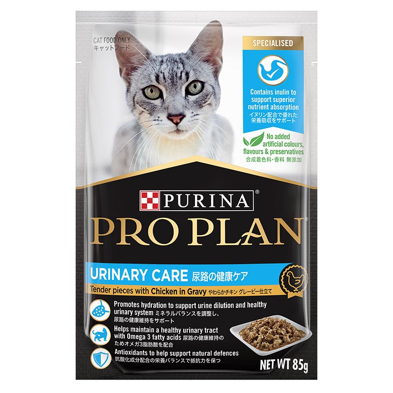 成猫用 尿路の健康ケア やわらかチキン グレービー仕立て - ピュリナ